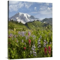 Глобална галерия в. Paradise Meadow & Mount Rainier, Национален парк Mount Rainier, Washington Art Print - Тим Фицхарис