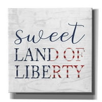 Epic Graffiti 'Sweet Land of Liberty II' от Lu + Me, Canvas Wall Art, 30 x26