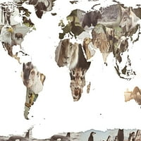 World Animals Map Poster Print - SD Graphics Studio