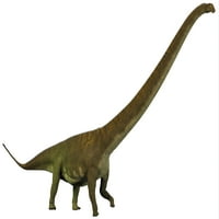 Mamenchisaurus, динозавър за ядене