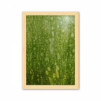 Зелена тиквена кора Макро фото модели декоративна дървена картина домашна декорация рамка за картина A4